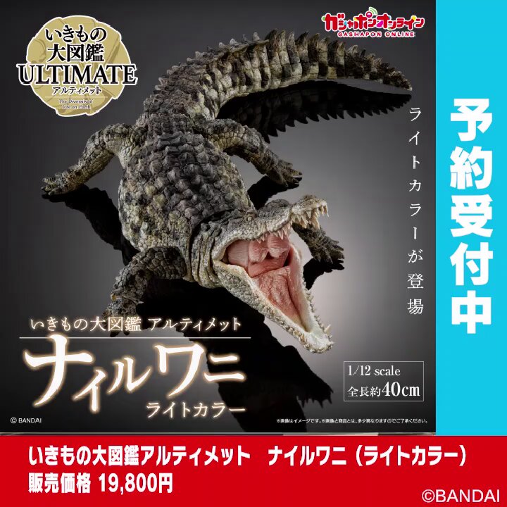 いきもの大図鑑アルティメット ナイルワニ（ライトカラー） （税込