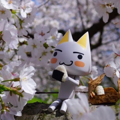 じゅんじゅん (@kagajun0321) / Posts / X