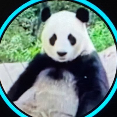 パンダ (@giantpanda99) / Posts / X