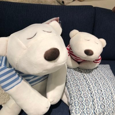 ニトリのシロクマ (@shirokumadomei) / Posts / X