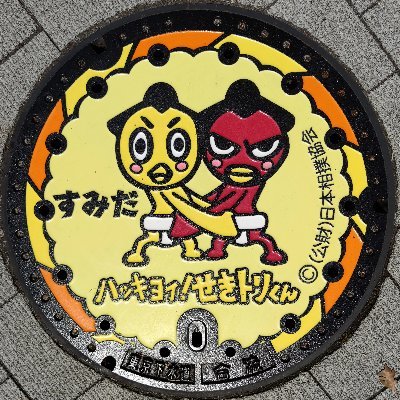 音羽山部屋の竹内さん と 追手風部屋の大皇翔さん 年齢は違えども高松