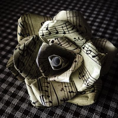 高校生の時にむつ市にあるCDショップに「カメレオンライフって言う地元