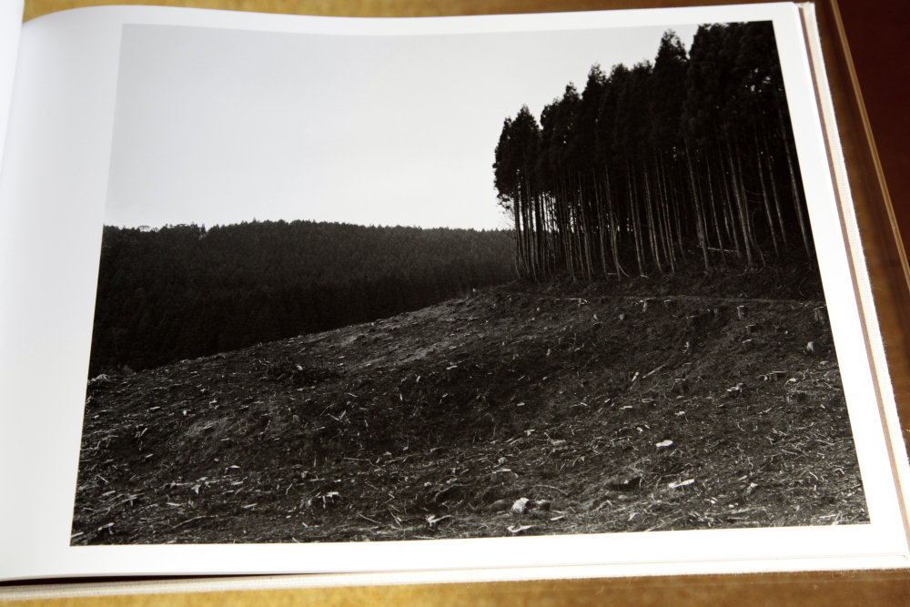 村越としや Toshiya Murakoshi 「大きな石とオオカミ」 : roshinbooks.blog