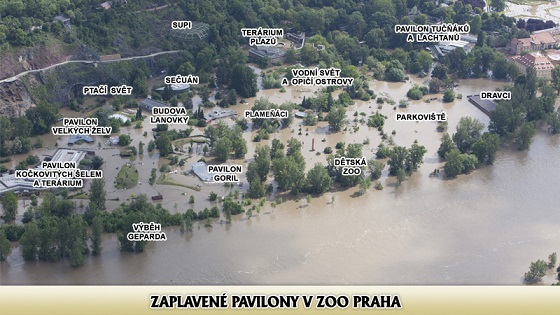 チェコ ・ プラハ動物園の動物たちが洪水の被害から無事に避難 ～ 園内