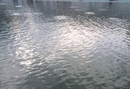 フライフィッシング情報byクレオール －1