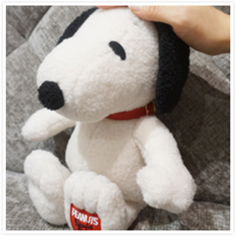 PEANUTS FRIENDS CLUB