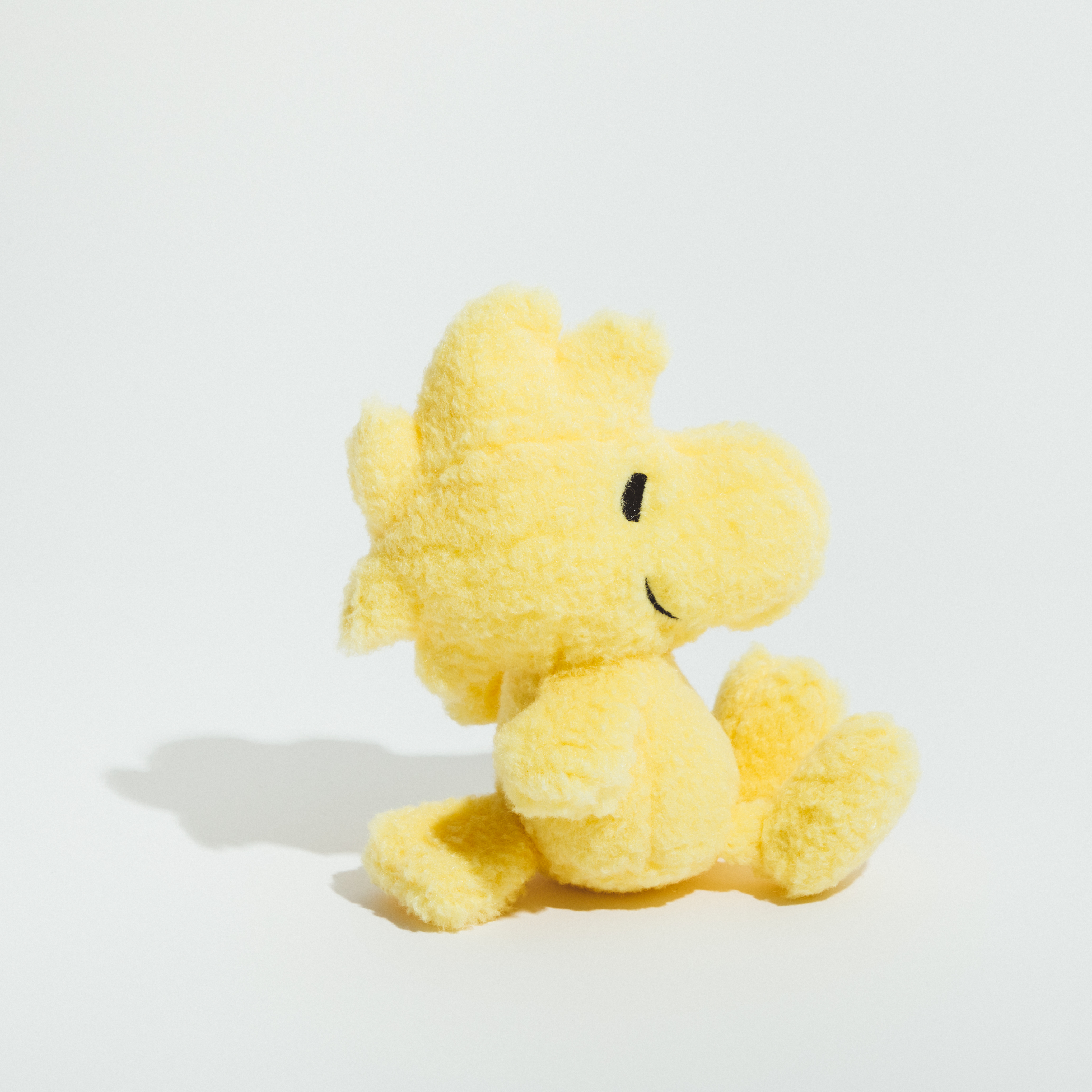 PEANUTS FRIENDS CLUB Limited goods