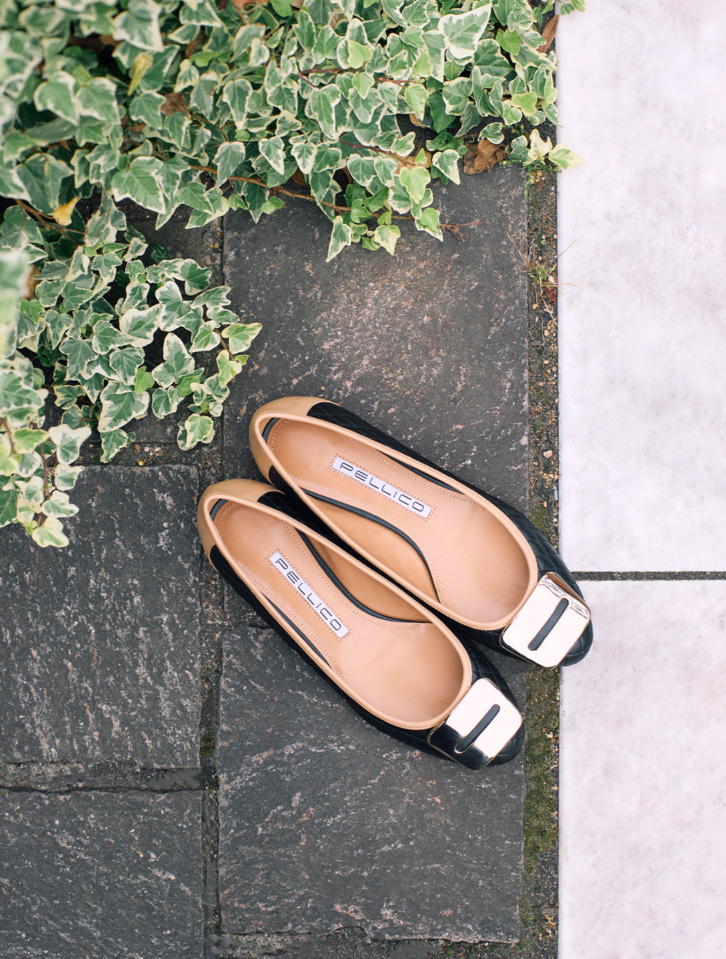 ANELLI FIBBIA” | PELLICO｜ペリーコ