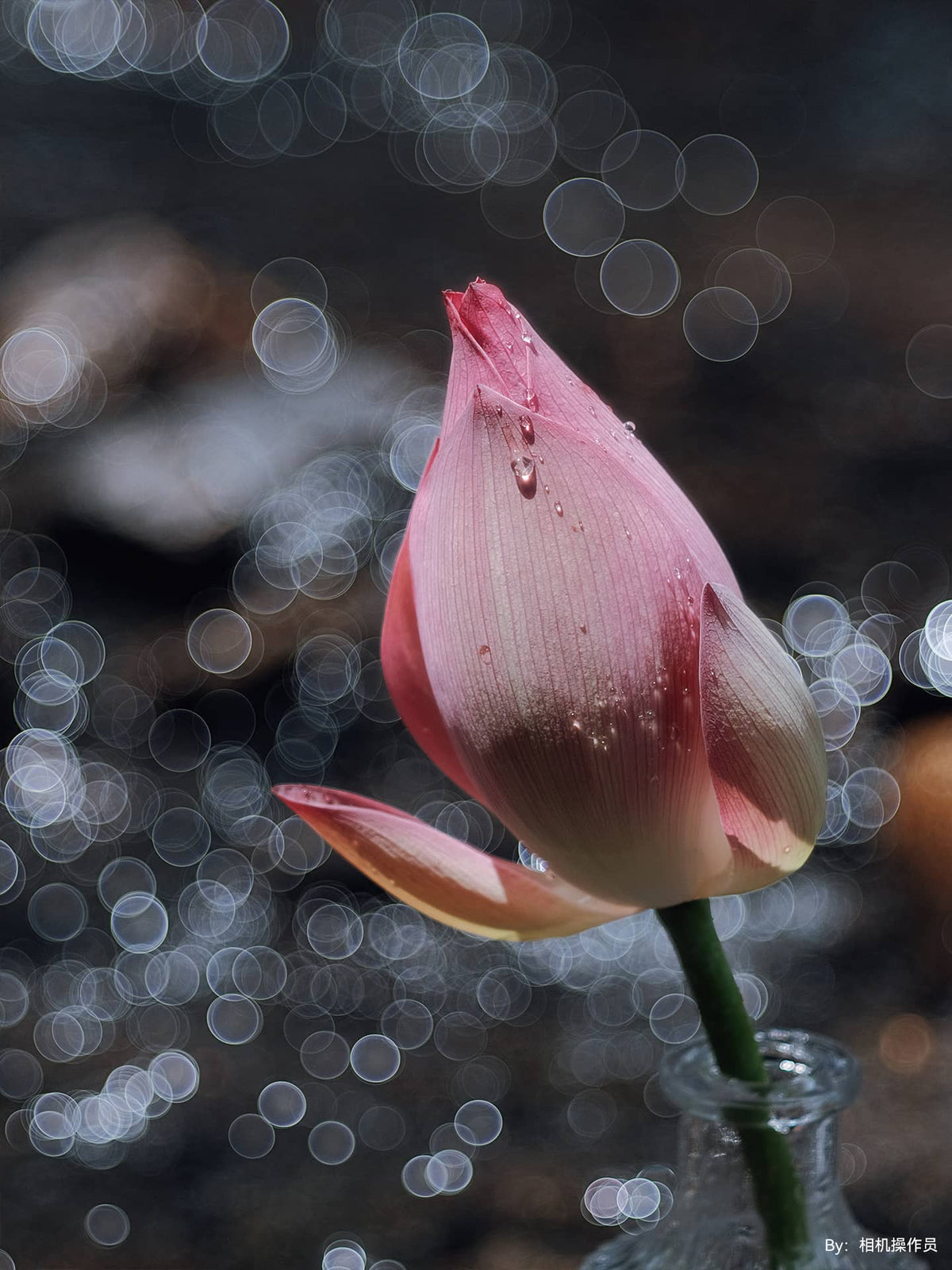 銘匠光学 TTArtisan 100mm f/2.8 バブルボケフルフレームレンズ M42