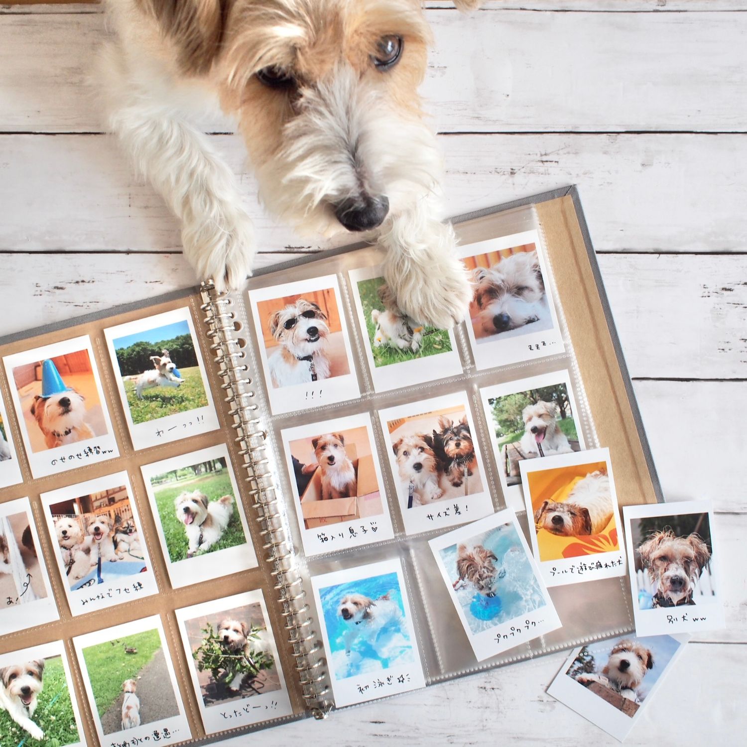 ハーフサイズプリント｜富士フイルム公式ストア