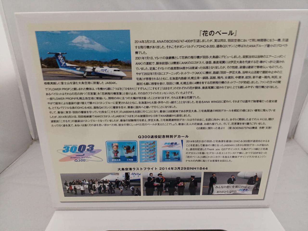 ANA 大島空港 ラストフライト 搭乗記念品 ANA、737-700型機ラスト