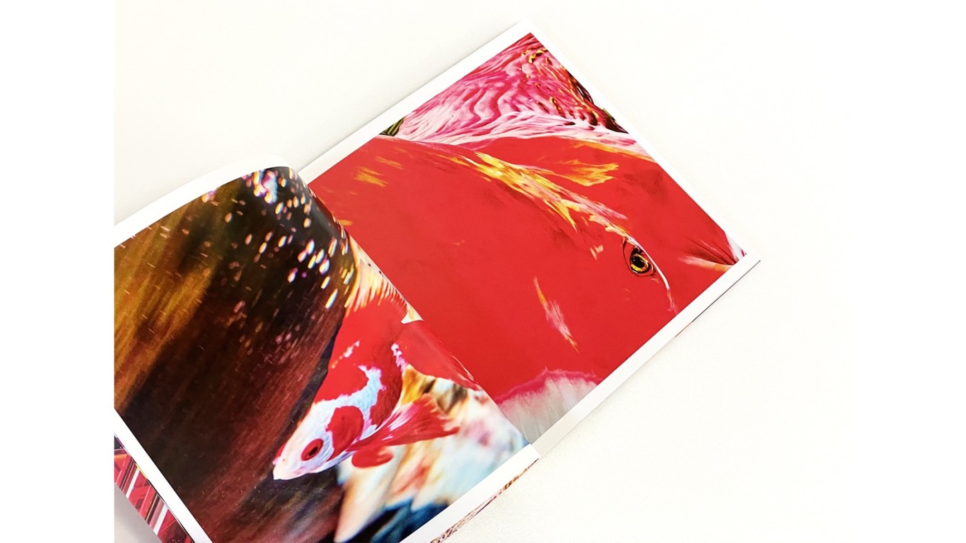 髙橋義隆：西田航『COLOR OF KANSAI』：Photo & Culture, Tokyo