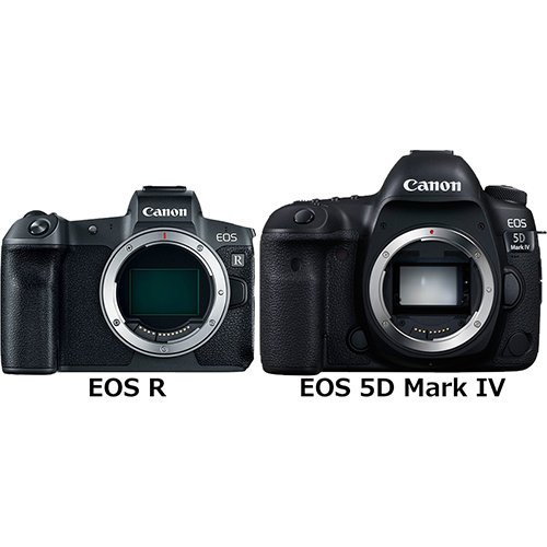 EOS R」と「EOS 5D Mark IV」の違い - フォトスク