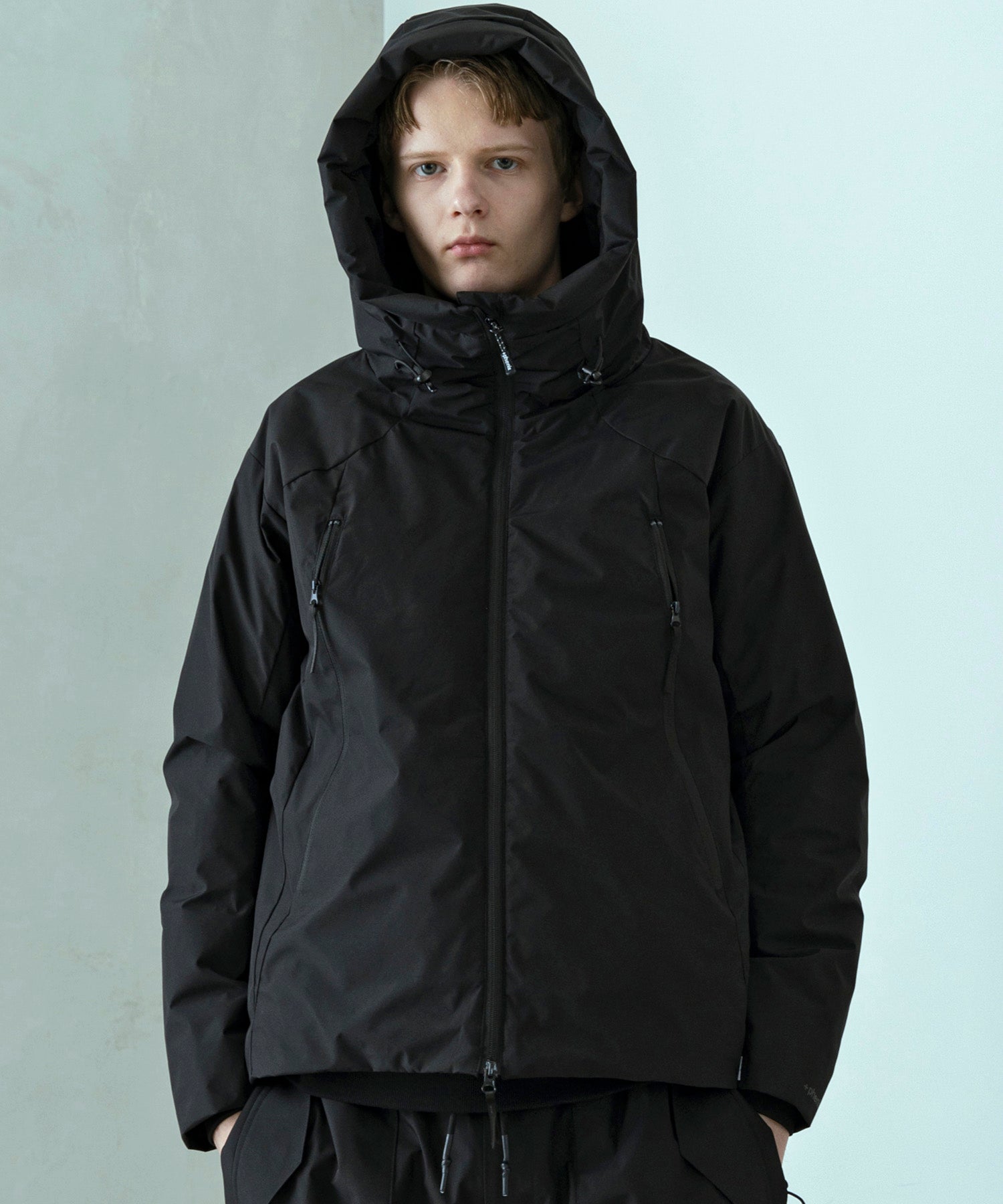 MENS] DOWN JACKET / +phenix