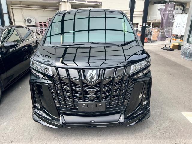 トヨタ 30系 アルファード 後期 30 グリル塗装カスタム ブラックアウト