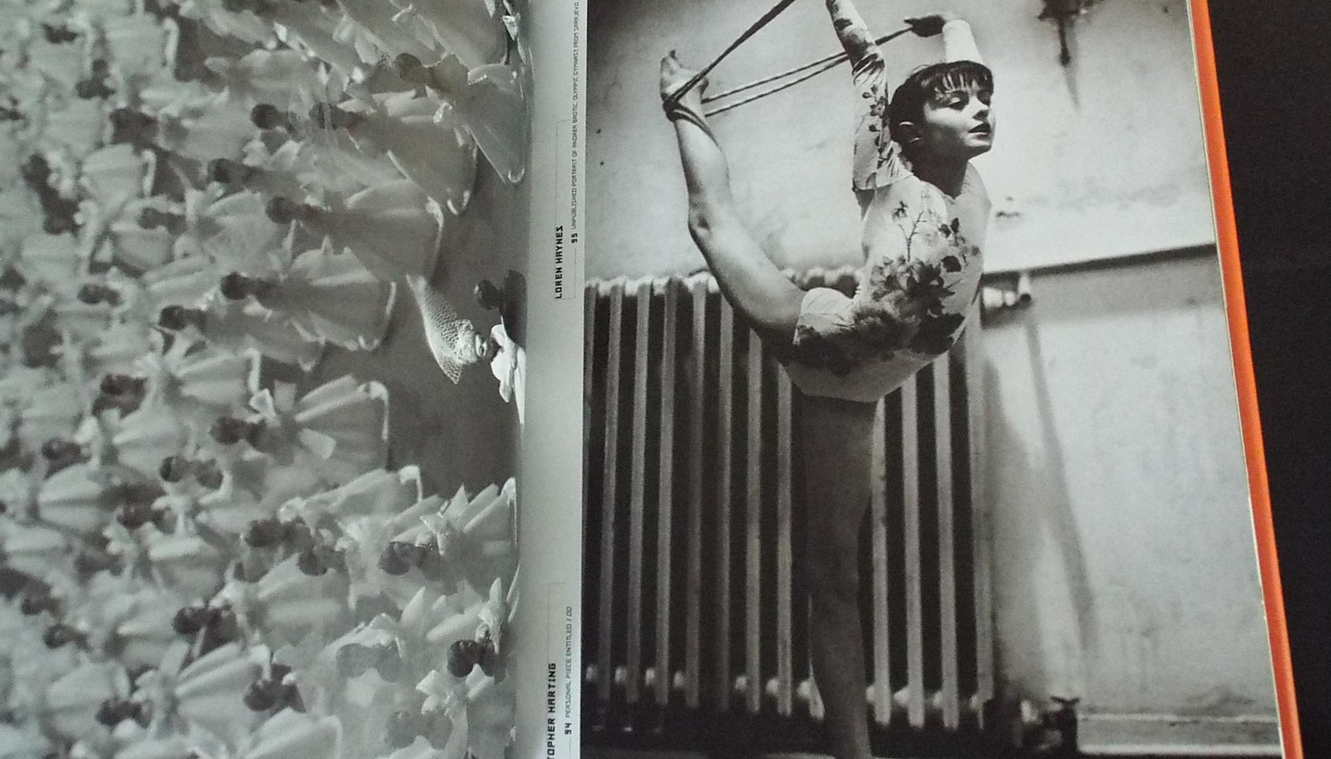 American Photography 13 by Priest, Robert: Near Fine Hard (1997