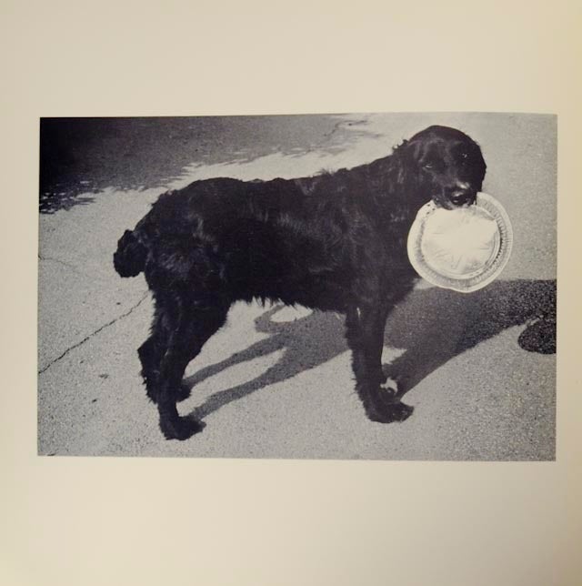 Work From The Same House by Friedlander, Lee and Jim Dine: (1969