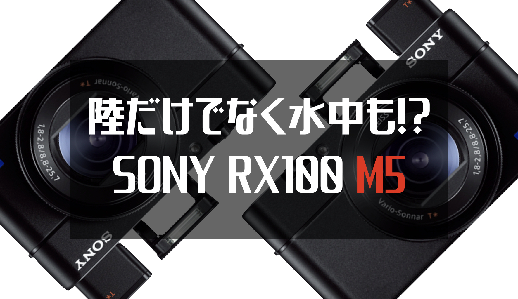 実写レビュー】SONY DSC-RX100 M5 で動画や写真を使いこなした感想