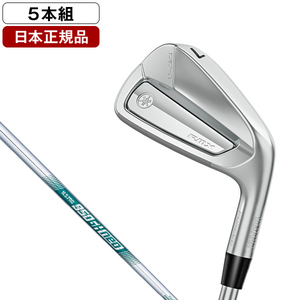 日本正規品】 タイトリスト(Titleist) T100 アイアンセット5本組(#6-PW