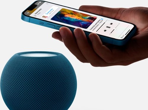 Apple HomePod mini Midnight MTJT3LL/A - Best Buy