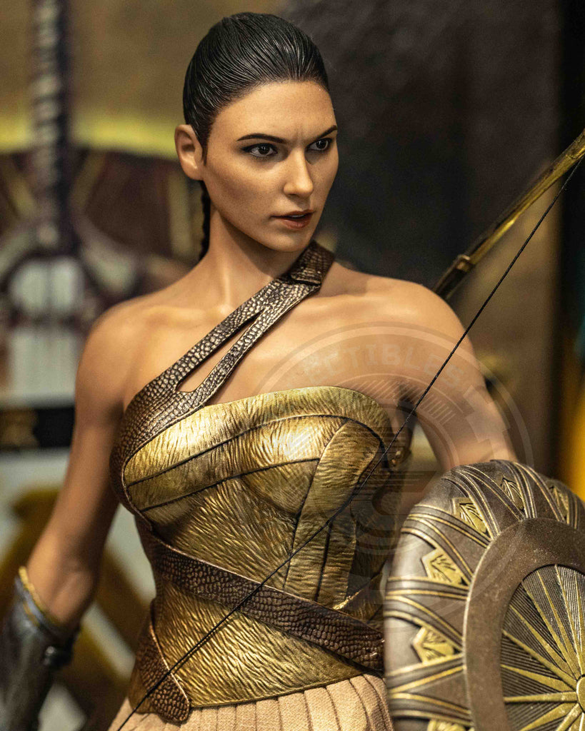 Hot toys MMS424 DC Wonder Woman Training Armor Version – Pop