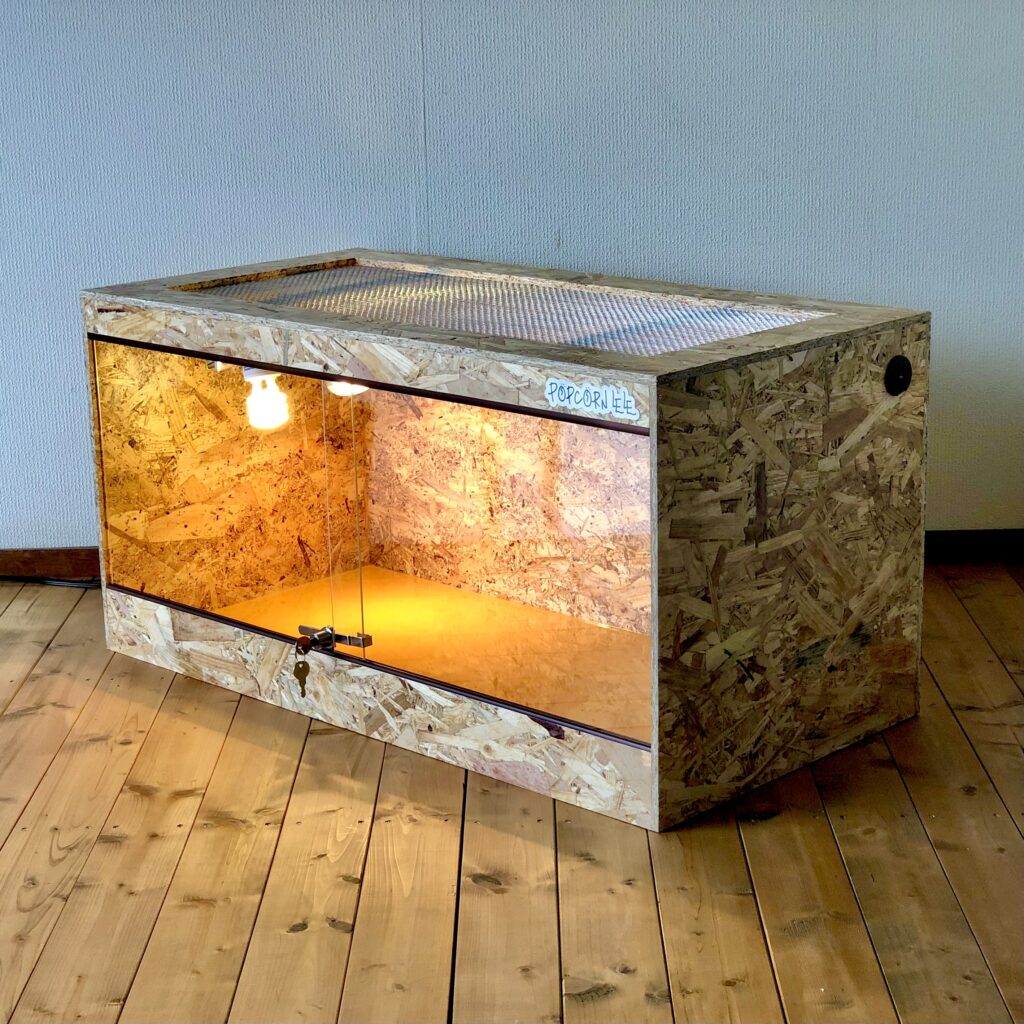 フトアゴヒゲトカゲに人気の規格、オプションのご紹介 / POPCORN LELE