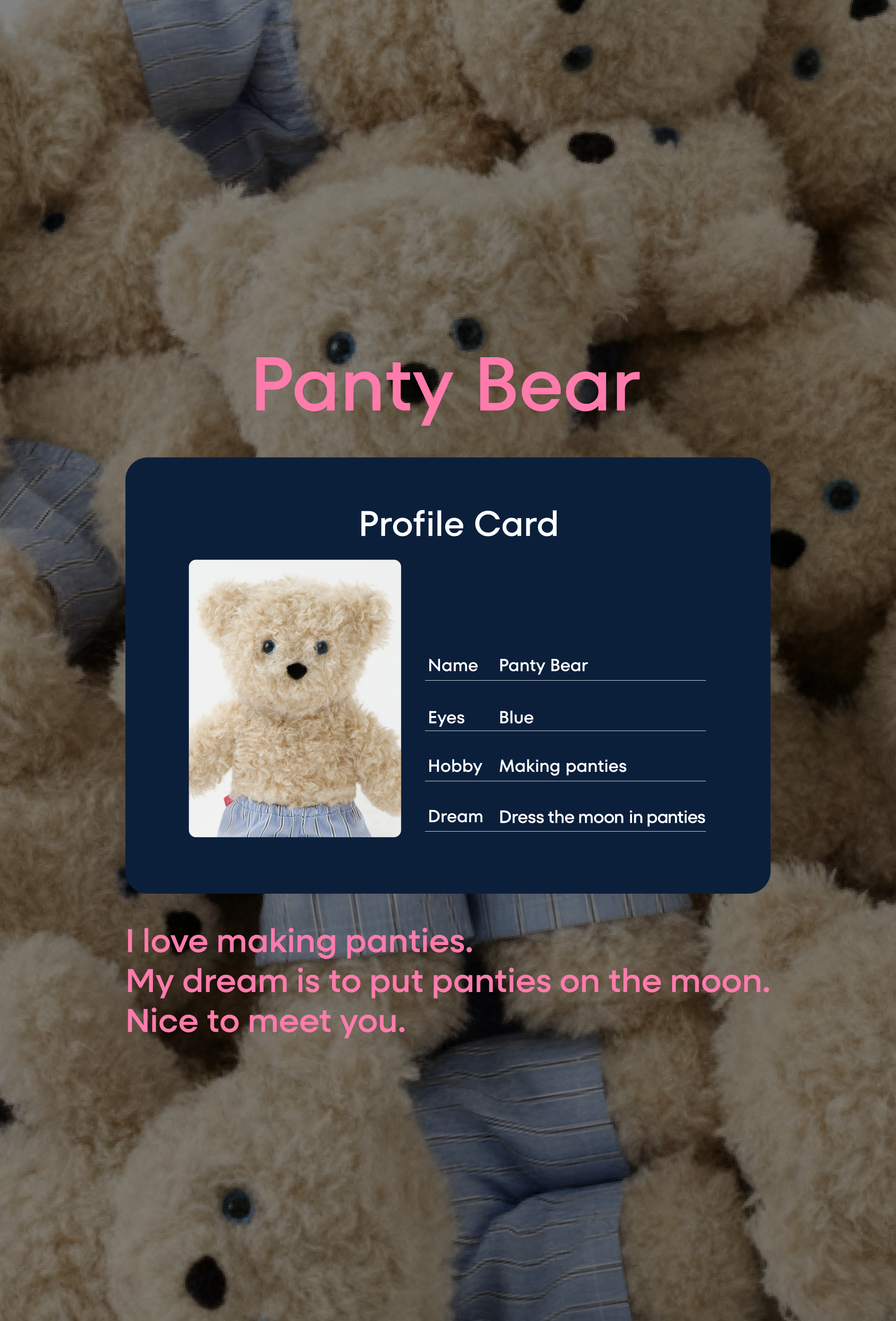 Panty-Bear sweatshirt