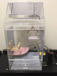 レビュー】ねくすとショップ製アクリルケージ 〜フクモモ飼育〜