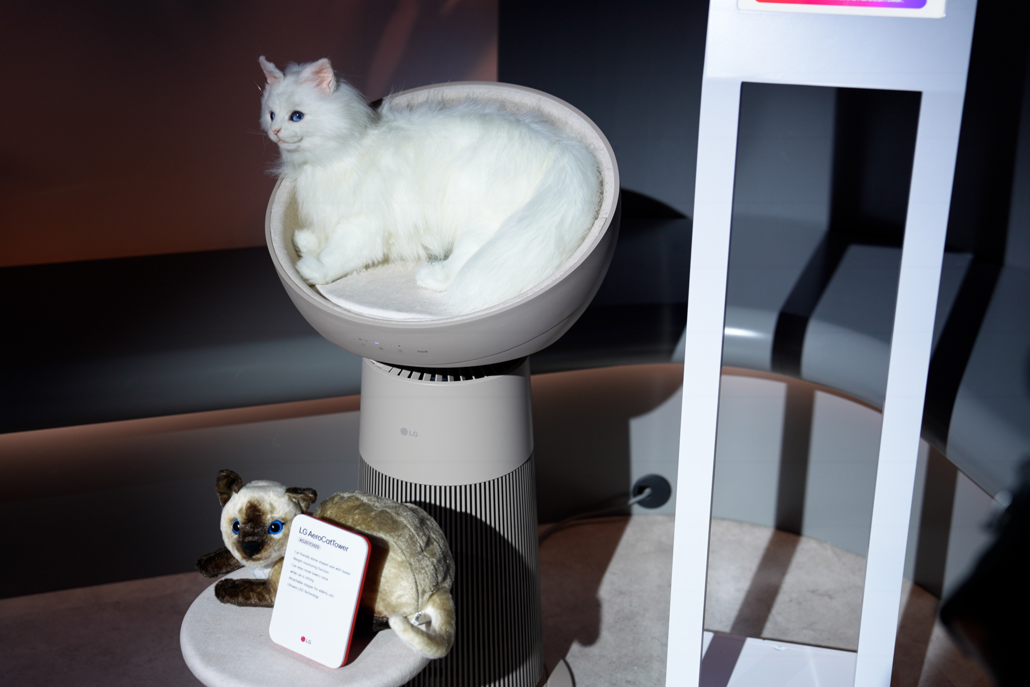 LG's AeroCatTower is an air purifying cat tree | The Verge