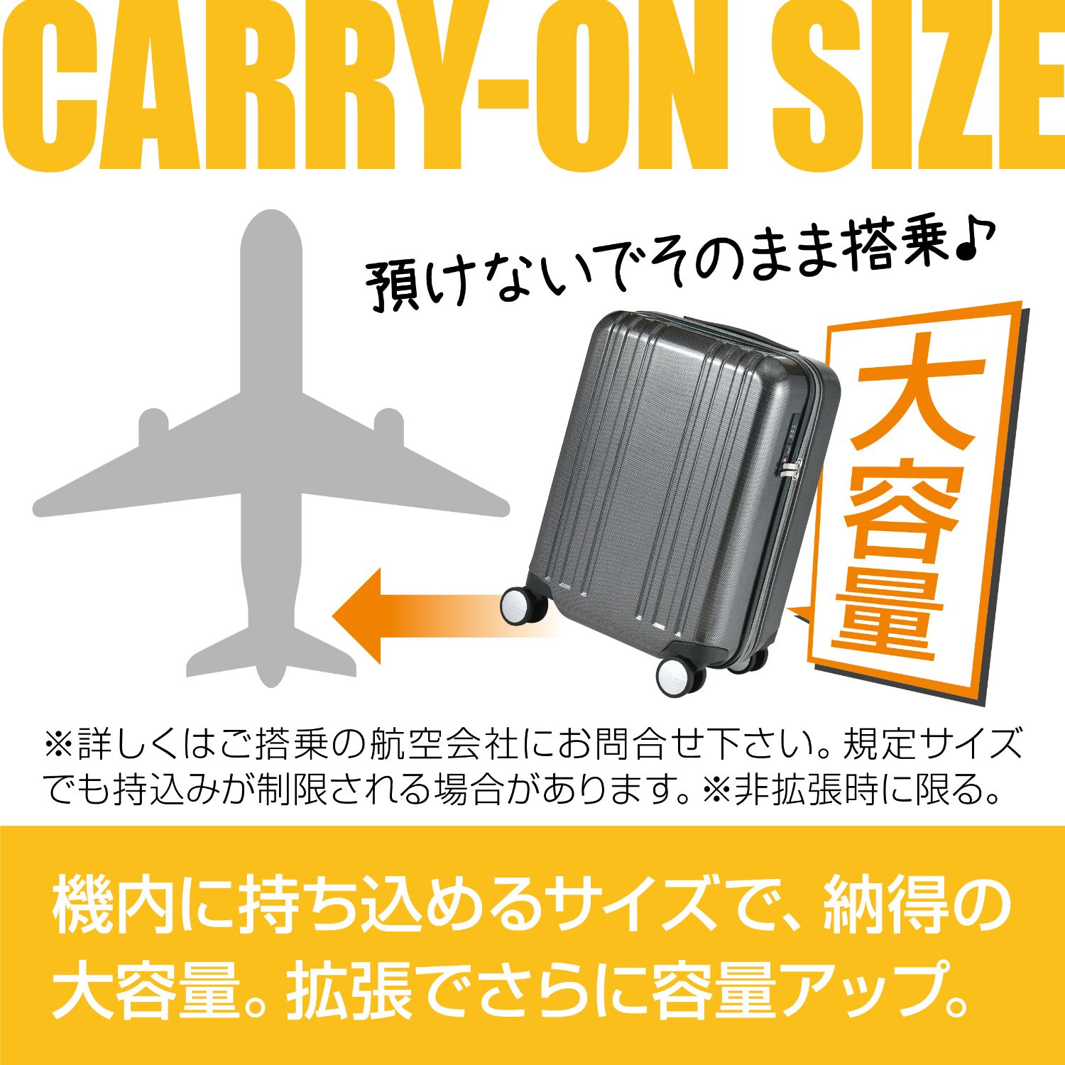 30%OFF】プラスワン スーツケース ALPHA SKY EX（アルファスカイ