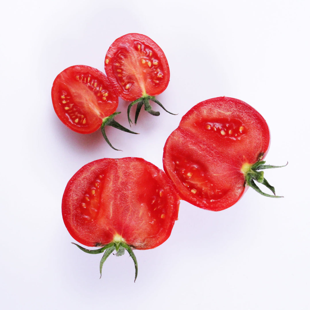 Snack Tomato | Tempting Tomatoes® Garden Gem | Proven Winners