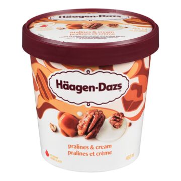 Häagen-Dazs Pralines and Cream Flavoured Ice Cream | Food Basics