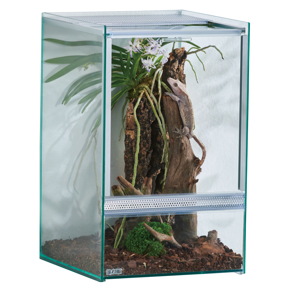 レプテリア クリアネオ 250High | ジェックス株式会社