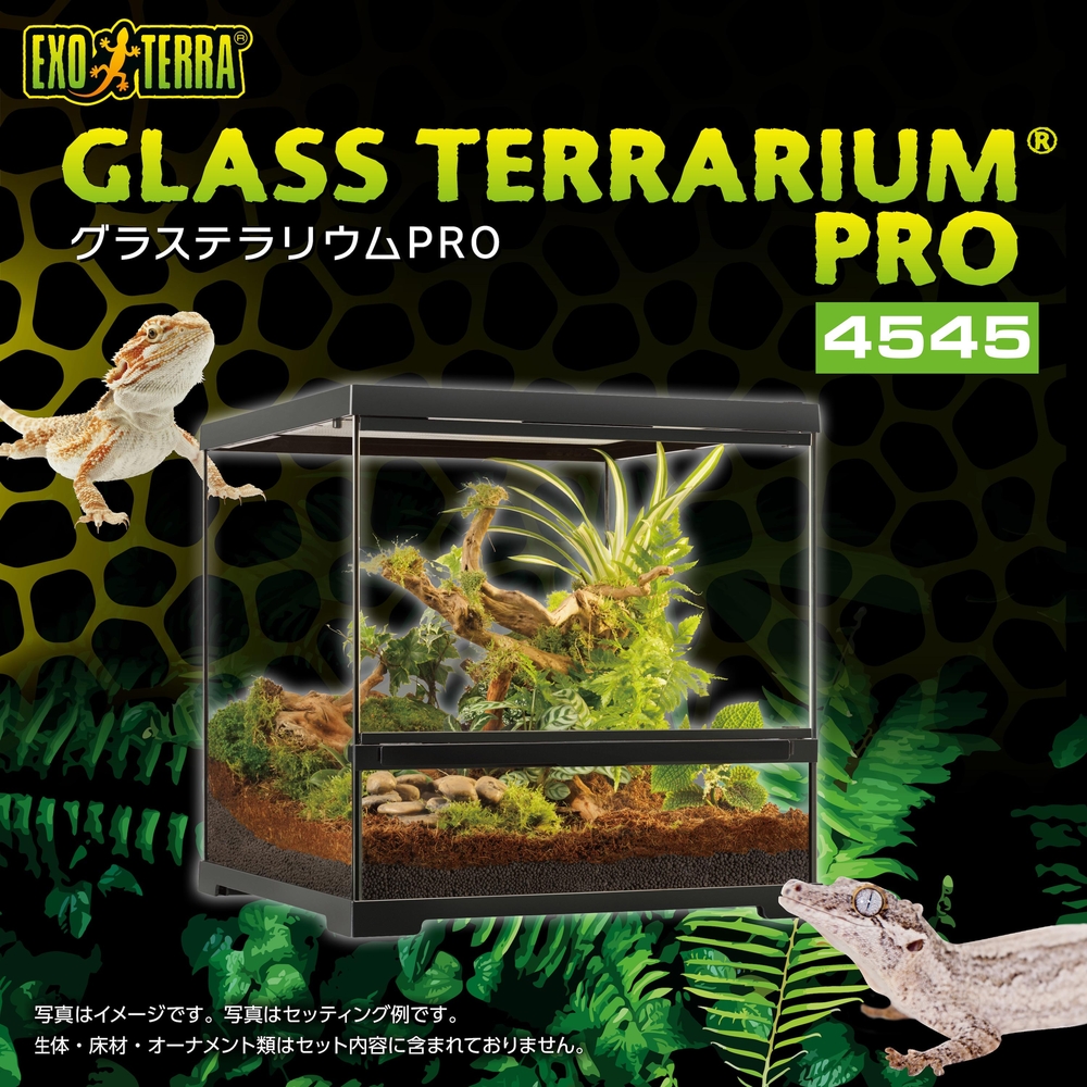 グラステラリウムPRO4545 PT4404 | ジェックス株式会社