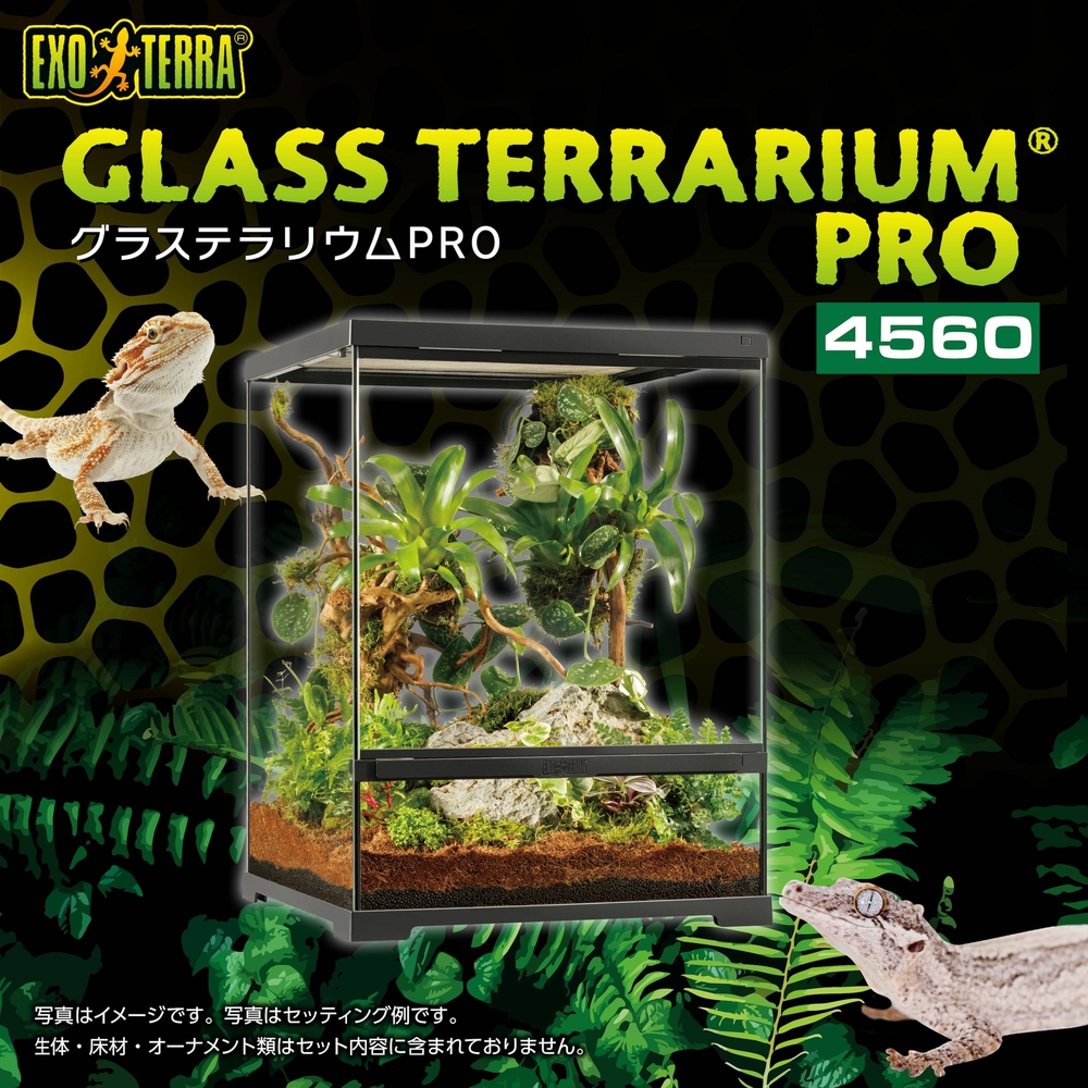 グラステラリウムPRO4560 PT4405 | ジェックス株式会社