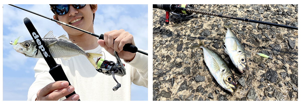 サイドワインダーAMS-S56ULFアジングモデル | deps OFFICIAL HP