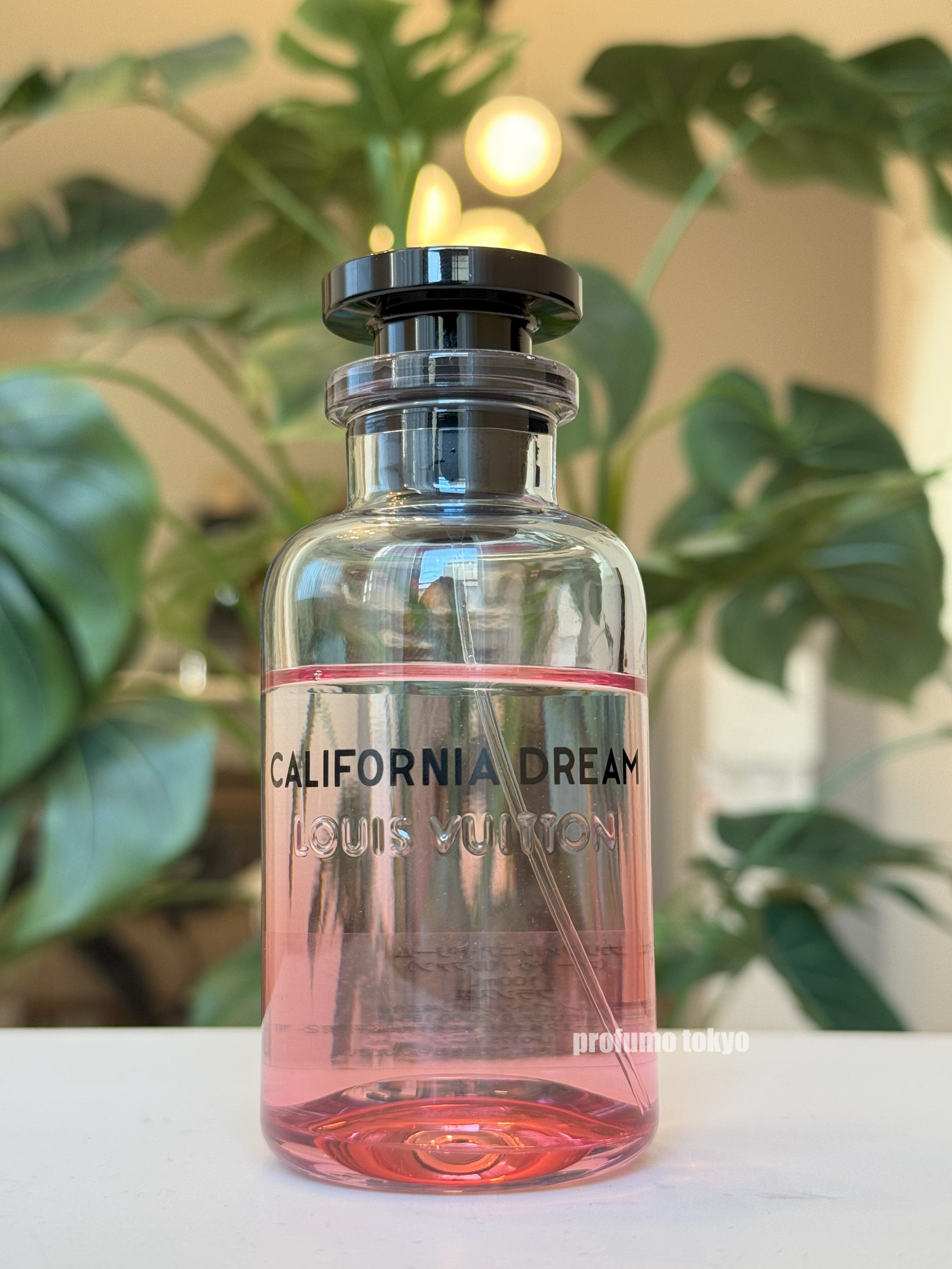 batch_IMG_5854.jpg?v=