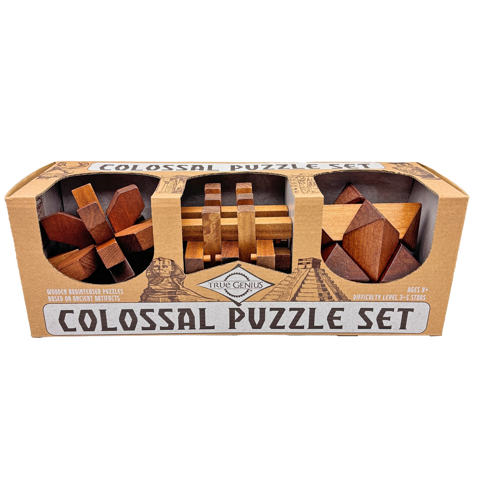 Colossal Puzzle Set – Project Genius
