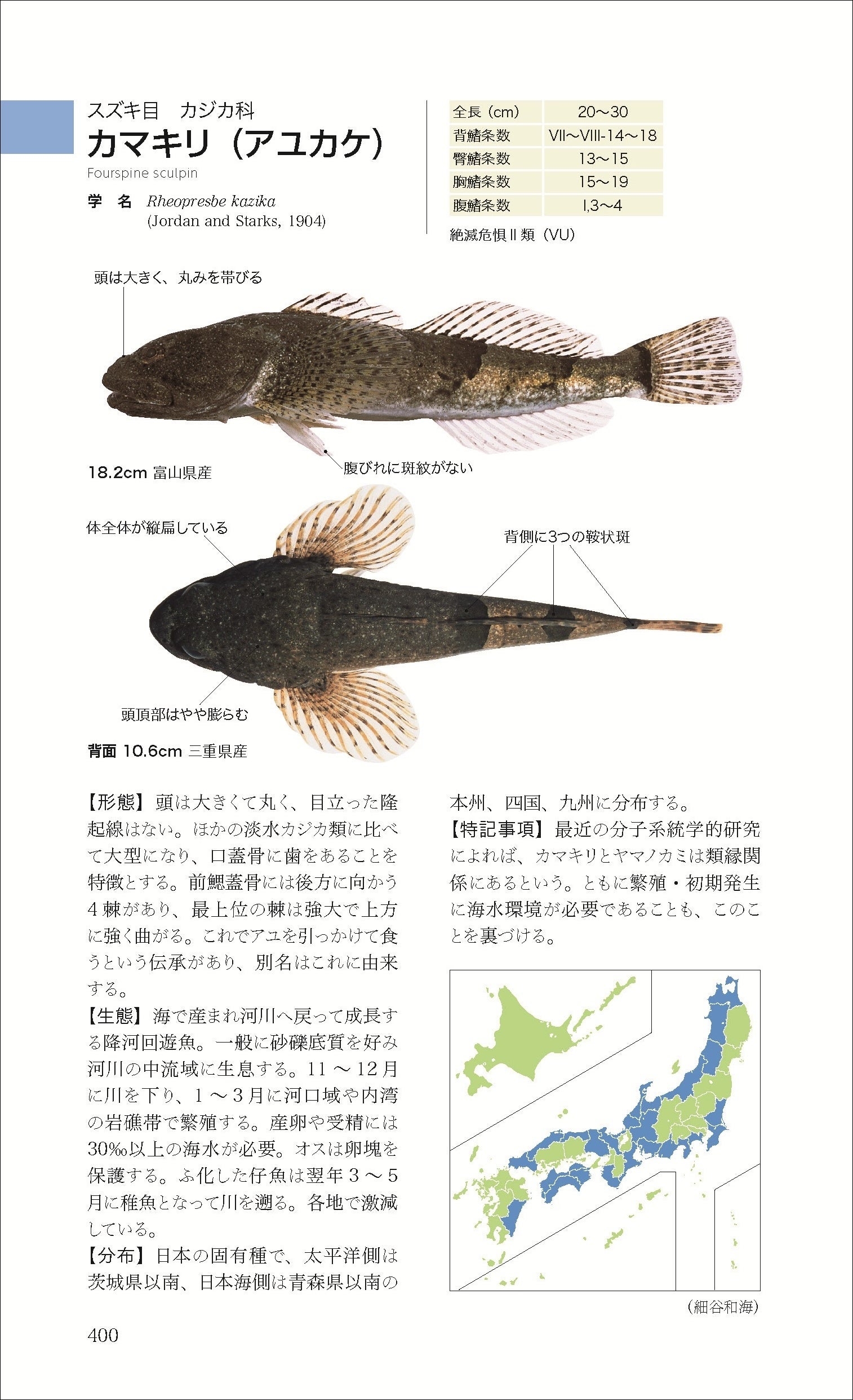 日本の淡水魚図鑑の決定版『山溪ハンディ図鑑 日本の淡水魚』が第4版に