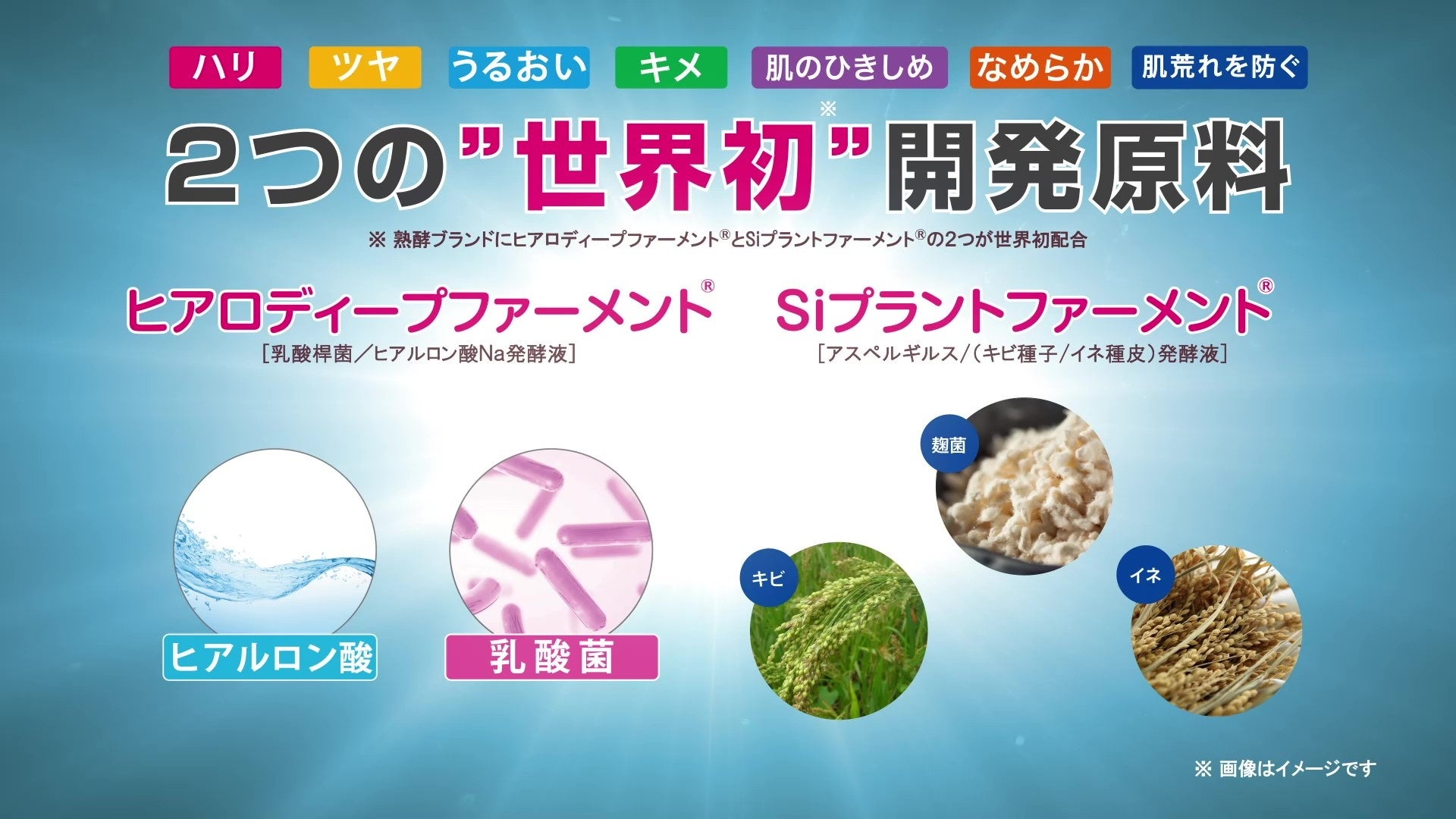 美容成分250種類（※1）！与えながら落とす新感覚の『熟酵 ザ