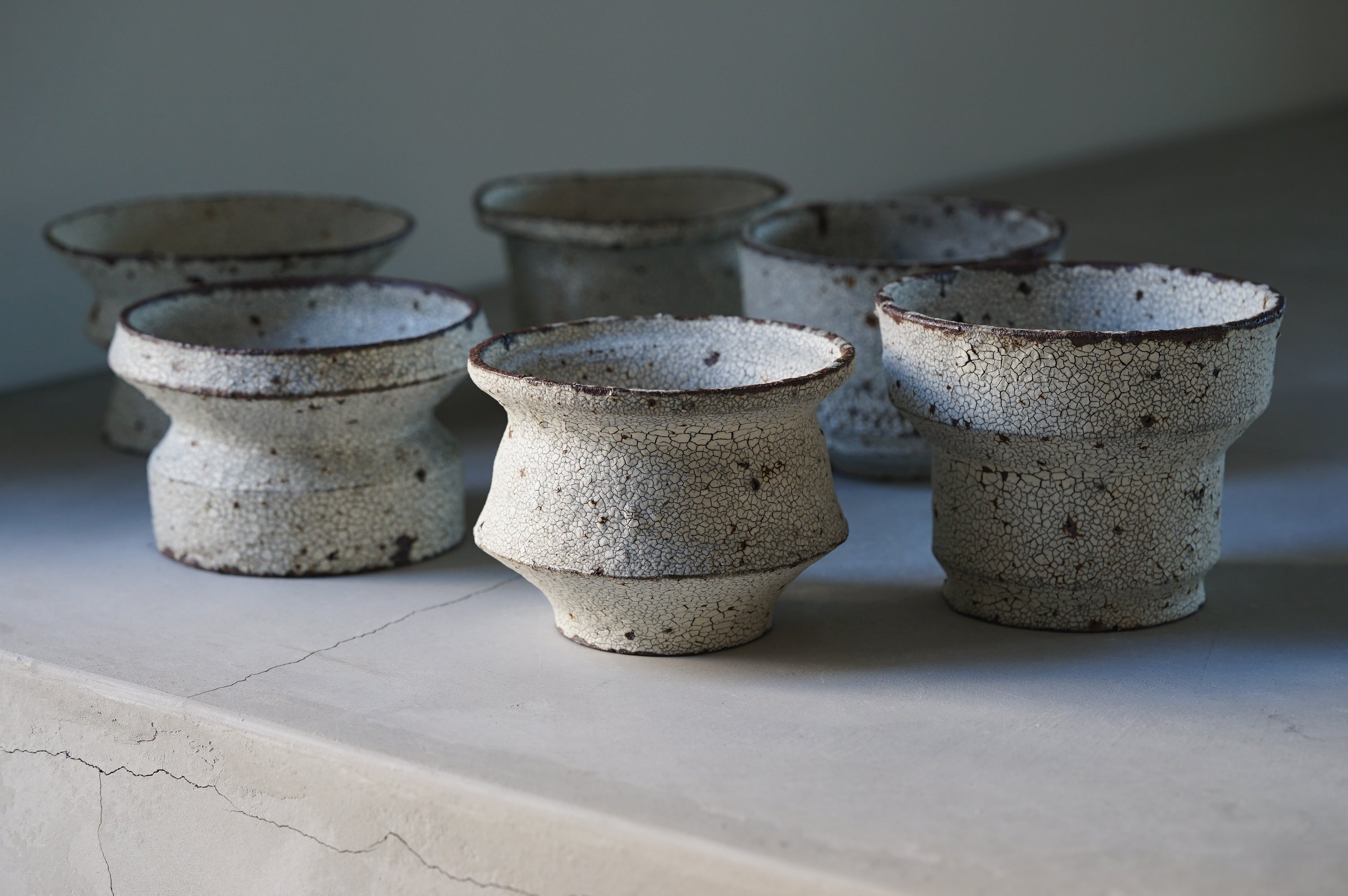 塊根植物ブランド「BOTANIZE（ボタナイズ）」、鉢ECブランド