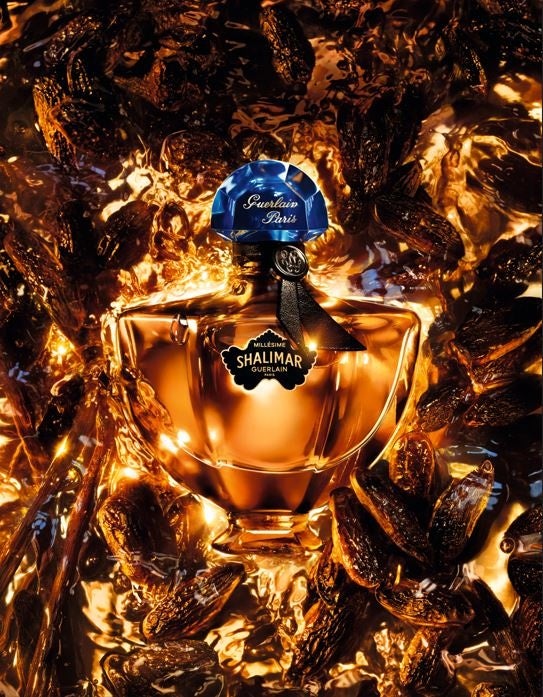 トンカビーンへのオマージュとして誕生した至福の香り〈シャリマー