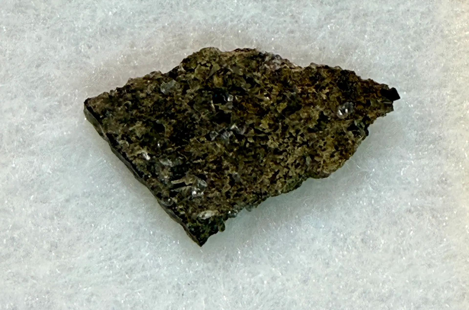 Martian Meteorite, NWA 17472 - Prehistoricoregon