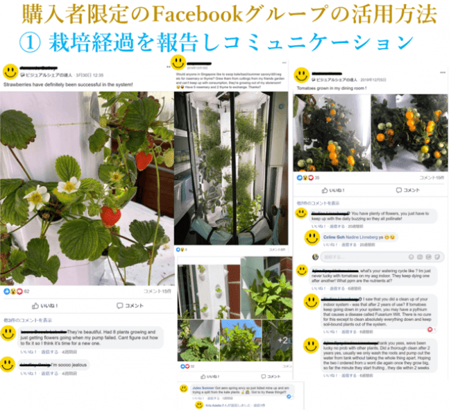 全自動家庭菜園キット「エアロスプリング(Aerospring)」がクラウド