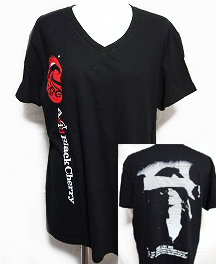 ピュアサウンド / sp_アーティスト_取扱商品_詳細表示