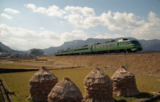 JR九州 キハ183系1000番台 ゆふいんの森II世 キハ183系1000番台 豊後森