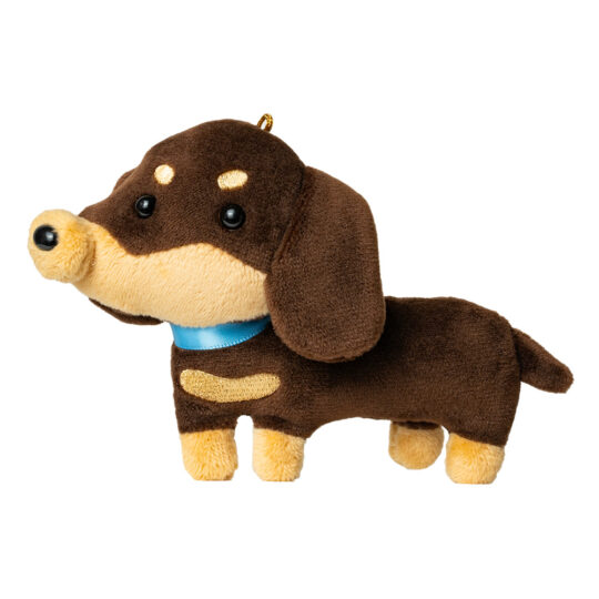 ミニチュアダックスフンド | 株式会社レインボーペット