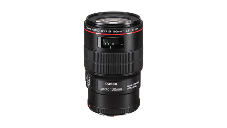 Canon Lens-EF 100mmf2.8L - Rent Camera Kannur