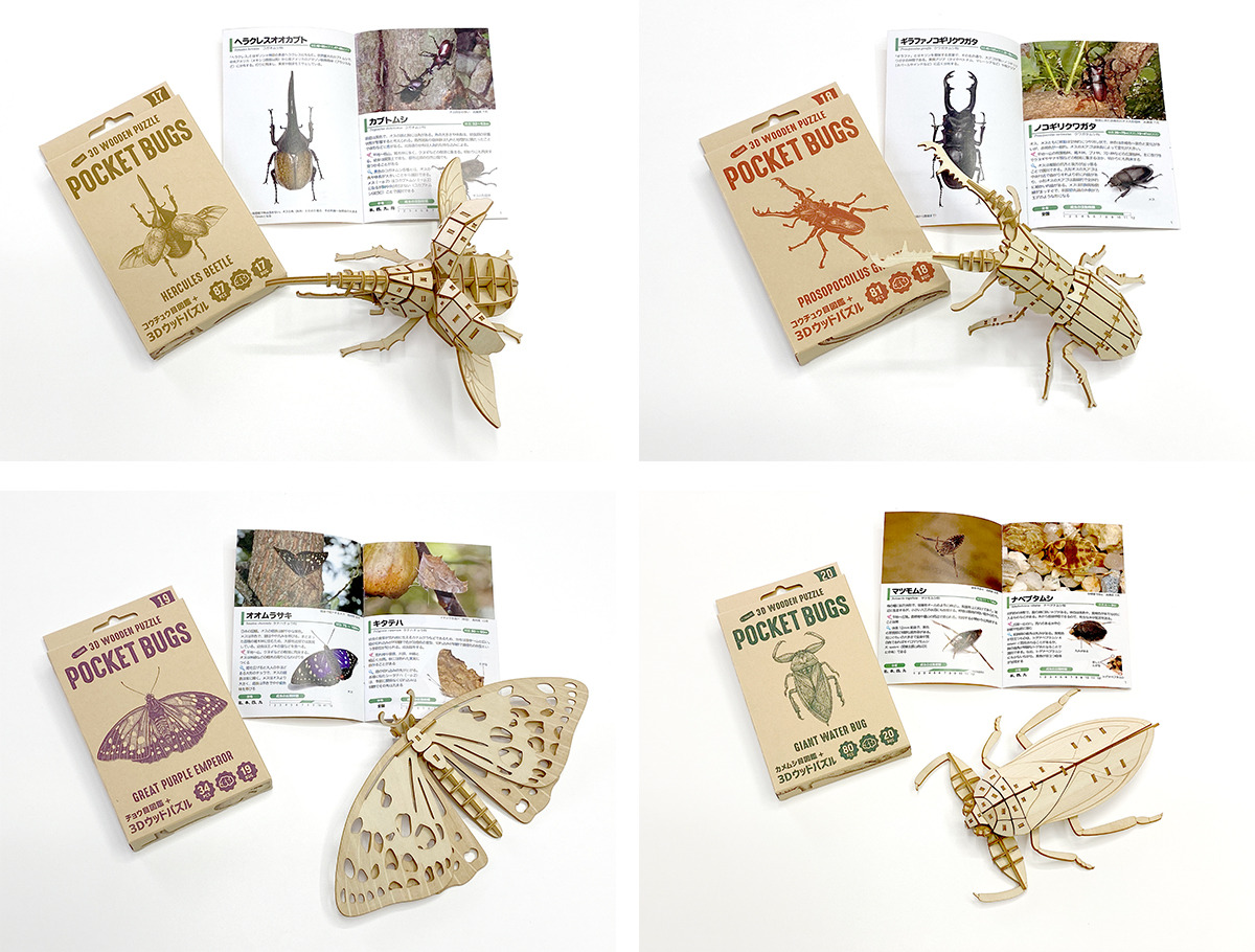 昆虫の3Dウッドパズル「ポケットバグズ」に、ヘラクレスオオカブトや