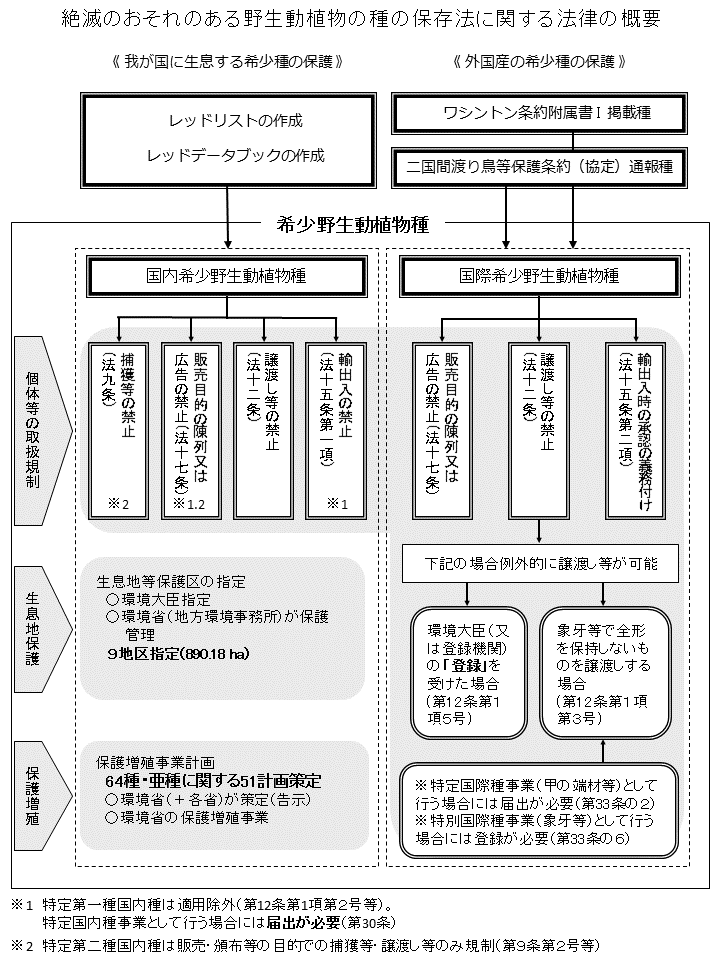 種の保存法を理解し、象牙やタイマイについて正しい取引をしましょう